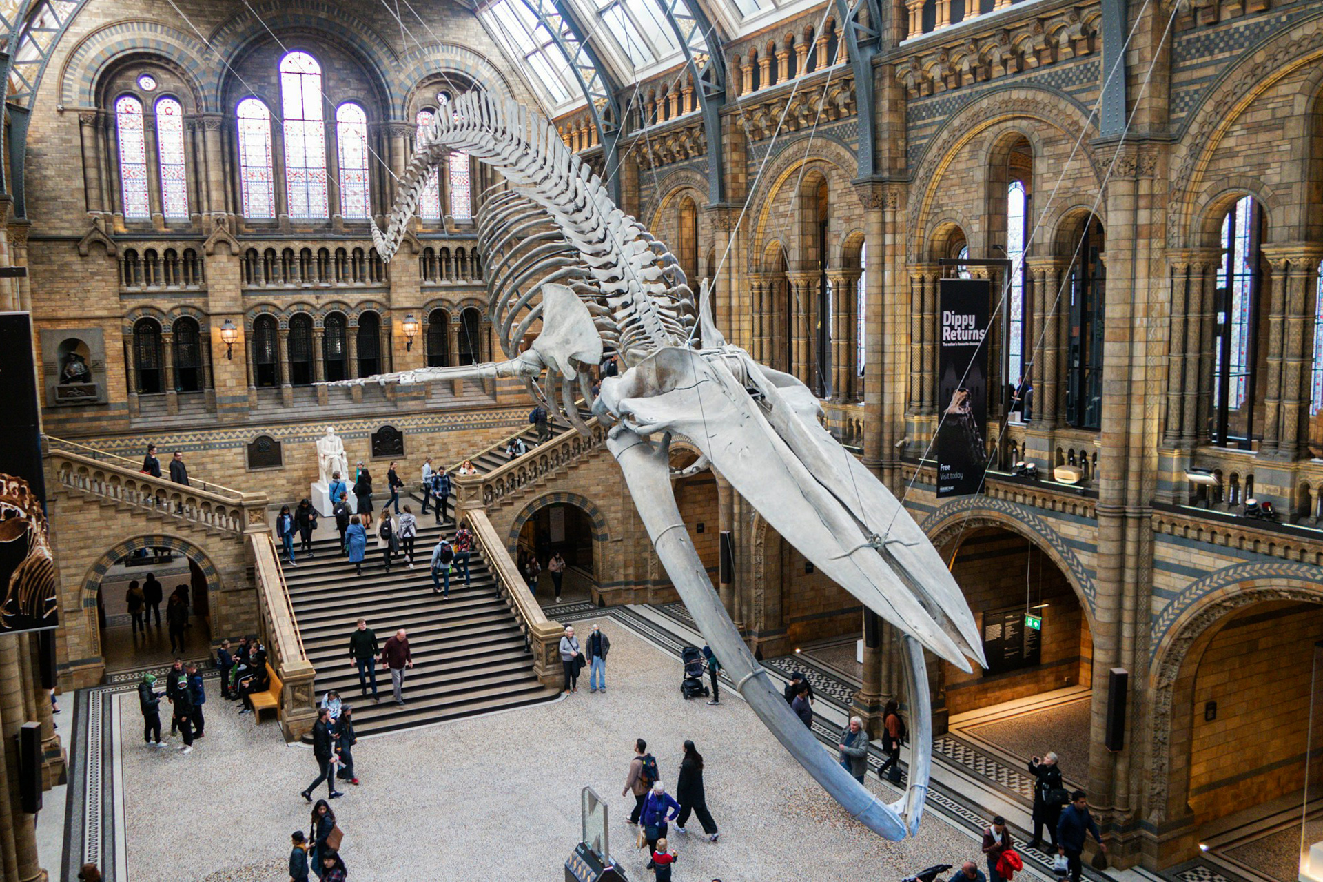 Natural History Museum